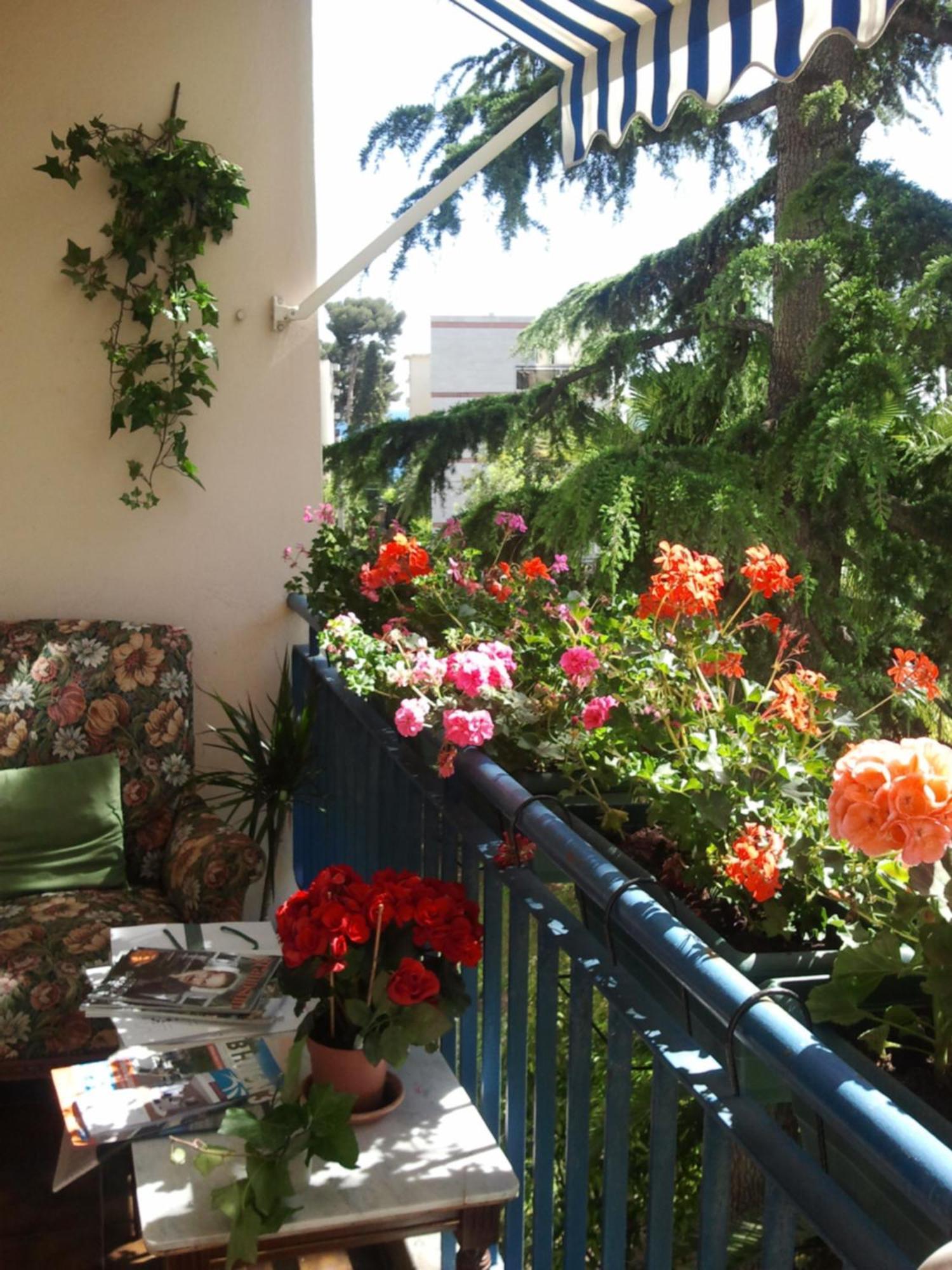Holiday Or Congress, Centre - Beach Apartment